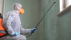 Best Biohazard Mold Removal  in Marble Hill, MO